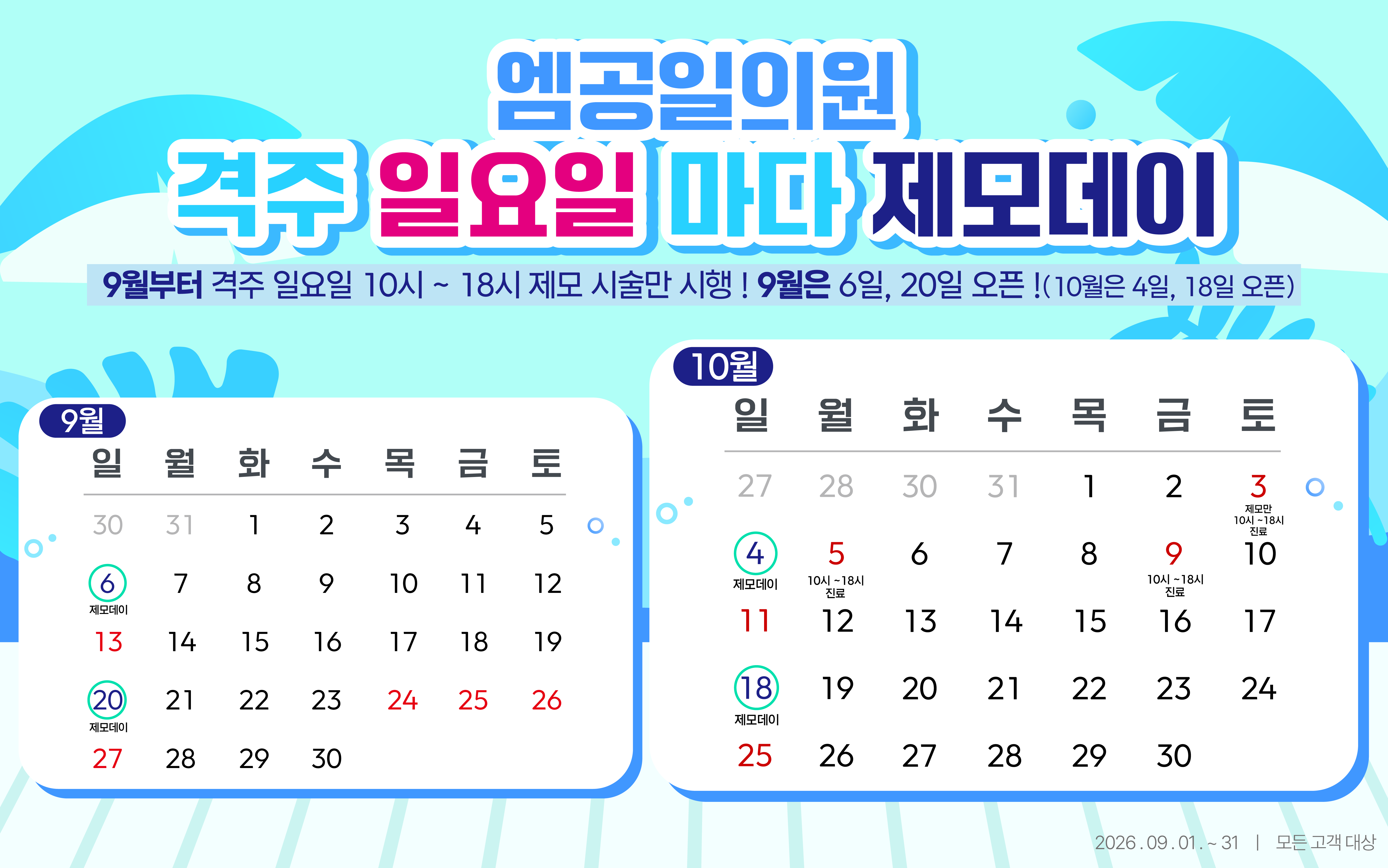 팝업